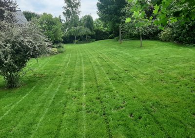 Entreprise paysagiste entretien jardin Doué la fontaine