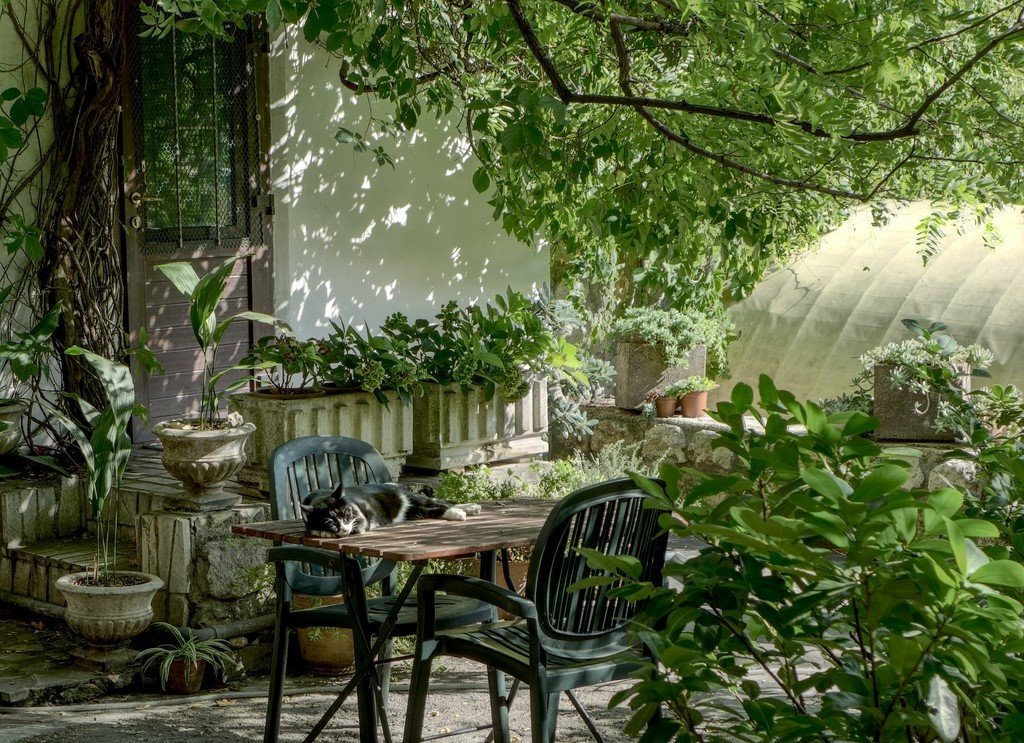 table-jardin table-jardin